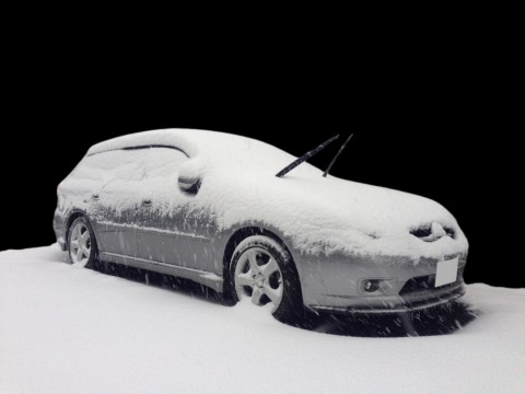 75hc2wd6pp6735v2t9wv_480_480-7c916781.jpg