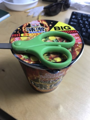 75zzycvo2yfuohcbisan_480_480-170dcbeb.jpg