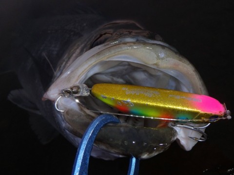 763sowjouhkbu6pvnxje_480_480-710168ea.jpg