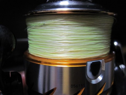 76jvffv6smro2sugdpae_480_480-b4cf1454.jpg