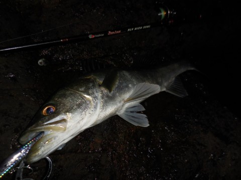 76md5u3x7uzywieo5af2_480_480-327160c8.jpg