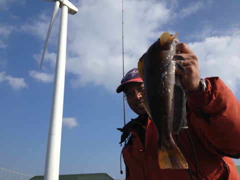 76np55kdycfxi359udpe_920_690-557b38f0.jpg