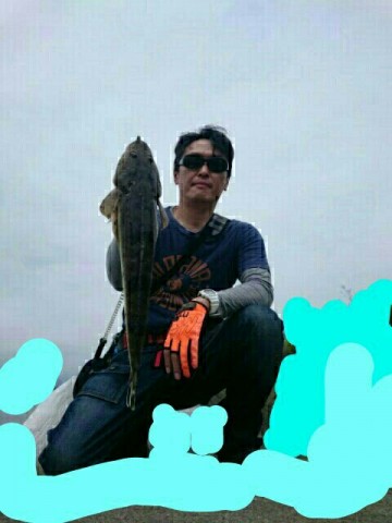 76t84jmsvhwago56xx2f_480_640-1cc9db79.jpg