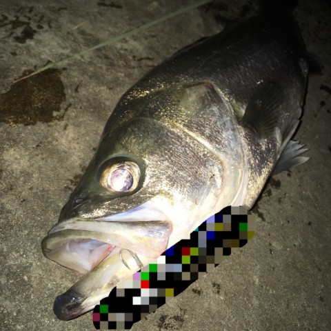 76xncei4sxkyu7vxcvgn_920_920-41d34811.jpg