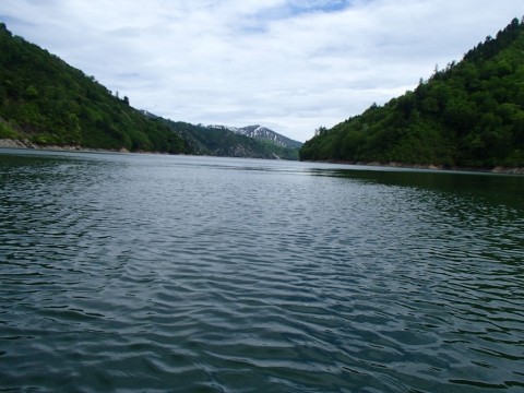 7744yw68b5mbvst7dumg_480_480-87ae0f9f.jpg