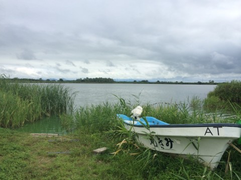7774f9rukmtw96hwm3fj_920_690-c7f4420c.jpg