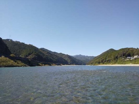 779bv3hbv7dge2judrao_480_480-26f10430.jpg