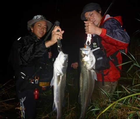 77cxhino2fv5ugsax8ty_480_480-0d25b9e6.jpg