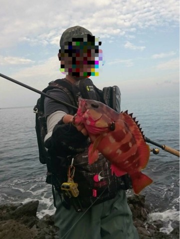 77rda9nf38kx85ex9kmo_692_920-ae4471b5.jpg