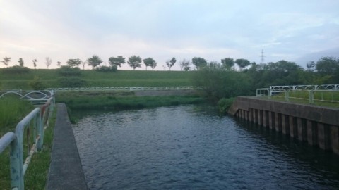 77repofv7tjcb2r7raeh_920_518-05d742e7.jpg