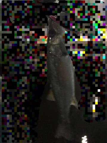 77v35avri842hmb9ifkm_480_480-b71ccff2.jpg