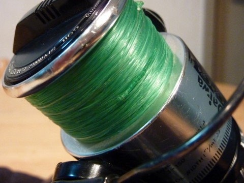 785neiap7mox6ty4yirs_480_480-45ae6784.jpg