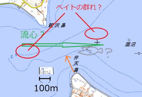 788726ek2znkmhiffm38_480_480-9e5e63d6.jpg