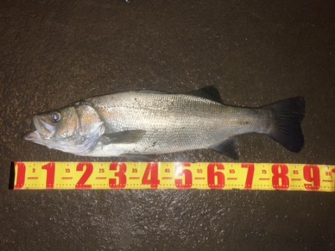 78eidtzjbvarkrhafufb_480_360-5f4dead1.jpg