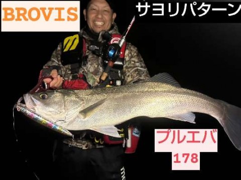 78kpdwbo3wvosfs2ec9x_480_480-004f4d3c.jpg