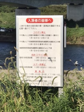 78ujxi84xrt83koxwn2f_361_480-39b2e11d.jpg