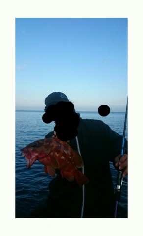 78wx6usrd5dreuvja6aw_559_920-4e1cef08.jpg