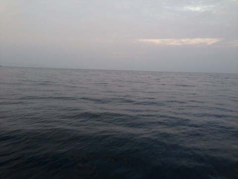 798wr2vsg257knw4j52s_920_690-704ac8f5.jpg