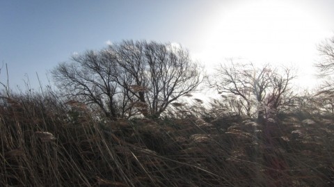 79aGapDMuvvtZBvJpgm4_480_480-8d6953f5.jpg