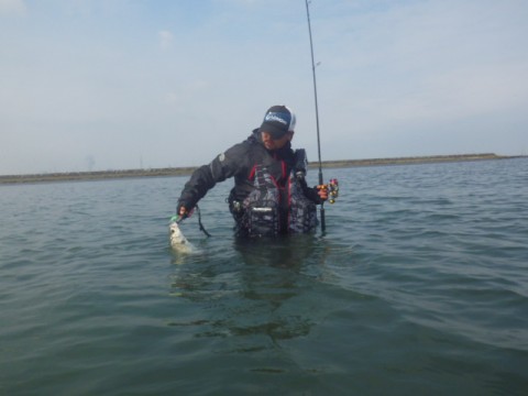 7a4ghdcutzcpgazjonik_480_480-6627e5ff.jpg