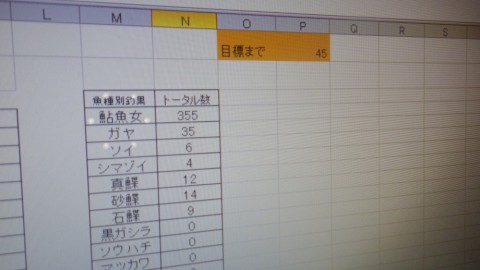 7ace86i7r7ujay72nrsr_480_480-56ad2f04.jpg