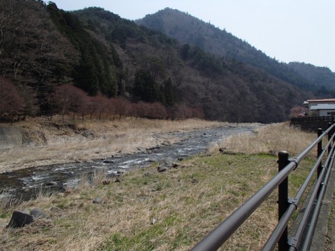 7ahwi62upg7isrzvxvh4_480_480-718b709b.jpg