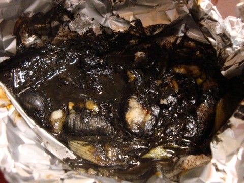 7ani8gHHBF8u2GBOszv5_480_480-6071d460.jpg
