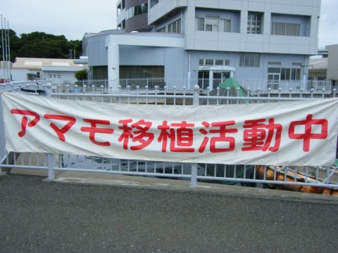 7asvnz7p4eivn8kkww5b_480_480-d6ce74de.jpg