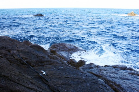 7aummkfikmeb657gghd4_480_480-69497b1b.jpg