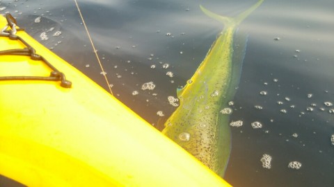 7avsbgsvitb7txmcuywb_920_518-1c6de27c.jpg
