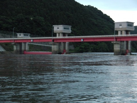 7awdzu26fe27knsvf3bk_480_480-3e43065b.jpg