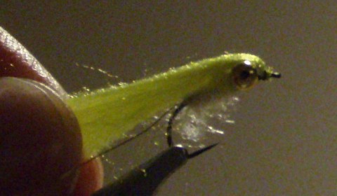 7b5fmpea8oerc2t9vvhs_480_480-c53399b6.jpg