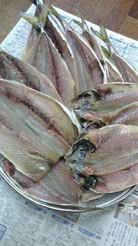 7b8nad64ipjxrrgk9rda_480_480-dbe25e08.jpg