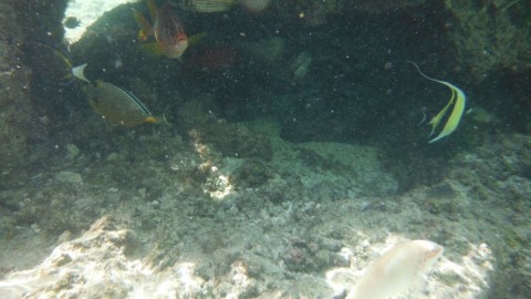 7begy2486yvvngzbbztt_480_480-7e772cc7.jpg