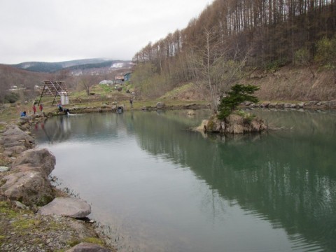 7bmpvrgfofkax8kgeno4_480_480-a62725fd.jpg