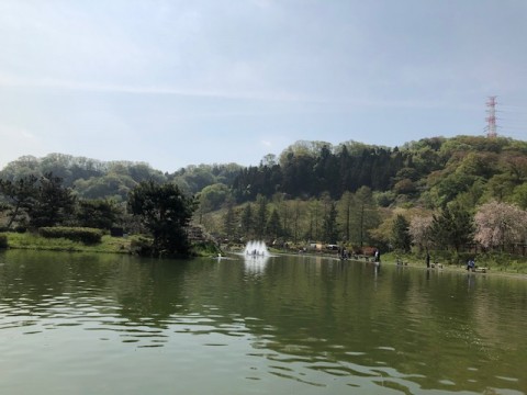 7c2mayu2b3ovs4oszhr3_480_480-51e3fd05.jpg