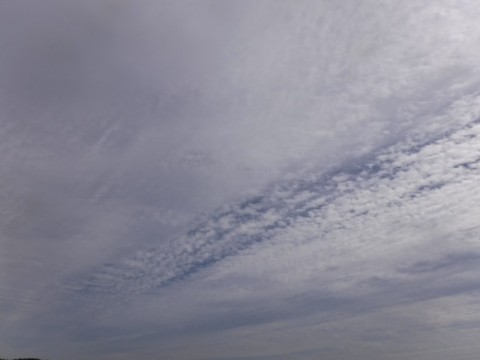 7c5xw2nt3rboygy4c948_480_480-194a180e.jpg