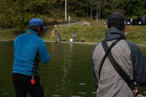 7ca2dpeugpuybrcfof55_480_480-85aedf50.jpg