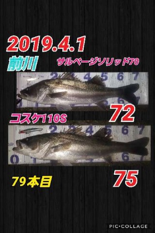 7chuxc7v69547iyrwb8y_480_480-5bf53dfd.jpg