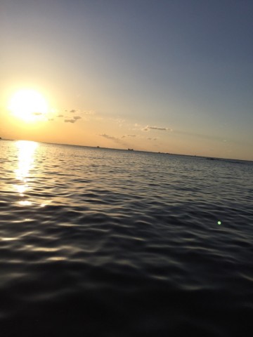 7d8f6i88v6sx9jidr74o_690_920-00cf9732.jpg