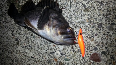 7drzn3vjaphu4w9z4bpd_920_518-36b6c4c9.jpg