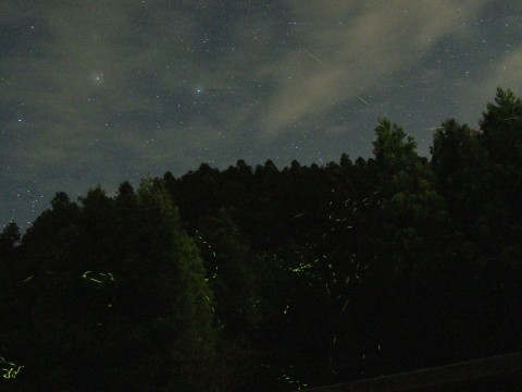 7dsbpgxcwhwdfaz8djkd_480_480-32f4635f.jpg