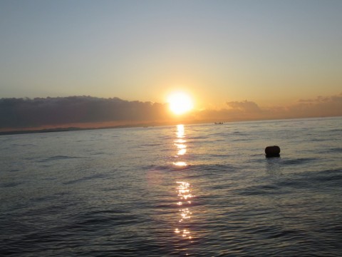 7dvupayn8ts33ncn4xy5_480_480-c2602425.jpg