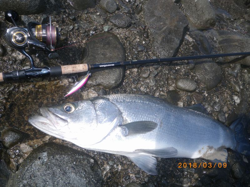 行くぜ 怪盗釣魚 Re Dive ジグミノーという選択 行くぜ 怪盗釣魚 Re Dive ジグミノーという選択