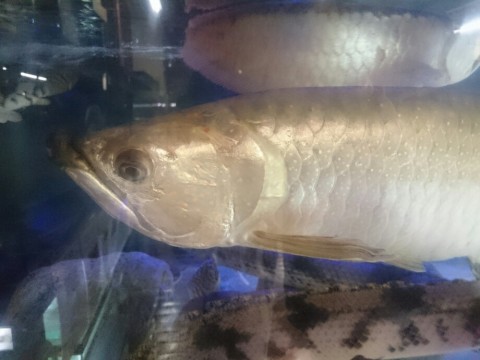 7e9n9tykh5oi8tm2agua_920_690-57ff6c97.jpg