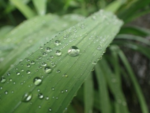 7epsighyhcbxvya4tfjj_480_480-3e50703d.jpg