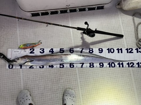 7eptzzigcovr6rks6gnr_480_359-fdd1da4a.jpg