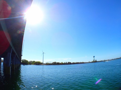 7er493ifca4smwz6r9yk_480_480-d1074f9d.jpg