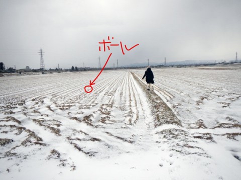 7exwsja6ktj8eowbg2f7_480_480-af664de8.jpg