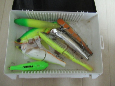 7ey334tvgdmudojmajpd-f713712b.jpg